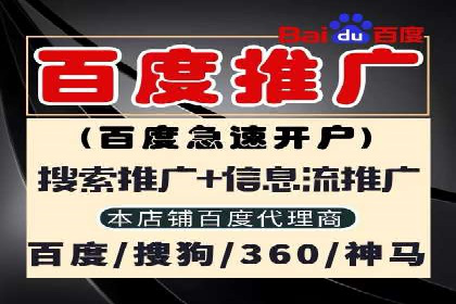 低成本高回报：百度竞价代理成功案例分析